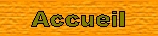 Retour  la page d'accueil